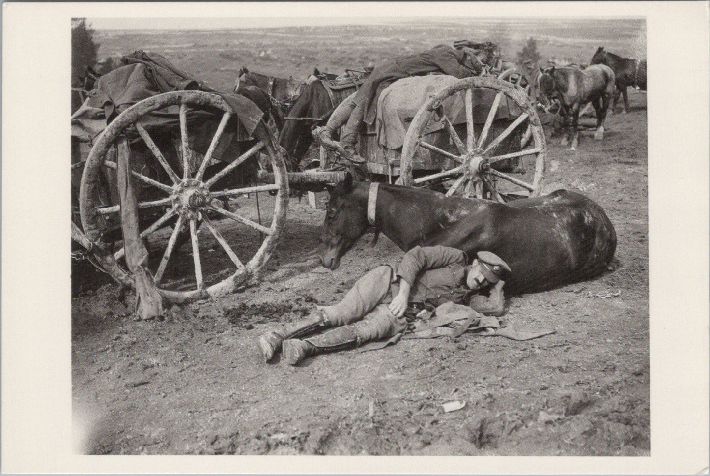 Military Postcard: Devon Regiment Transport Fricourt 1916 Ernest Brooks RR23743