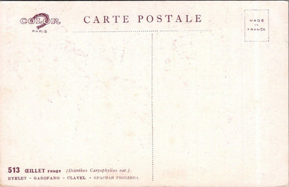 Flowers Postcard: Oeillet Rouge Red Carnation Dianthus Signed Barde Paris XT3585