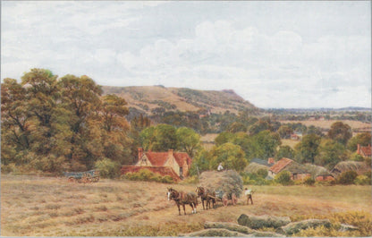 Sussex Postcard:Straw Carting On The South Downs Horses Wagon A R Quinton XT4353