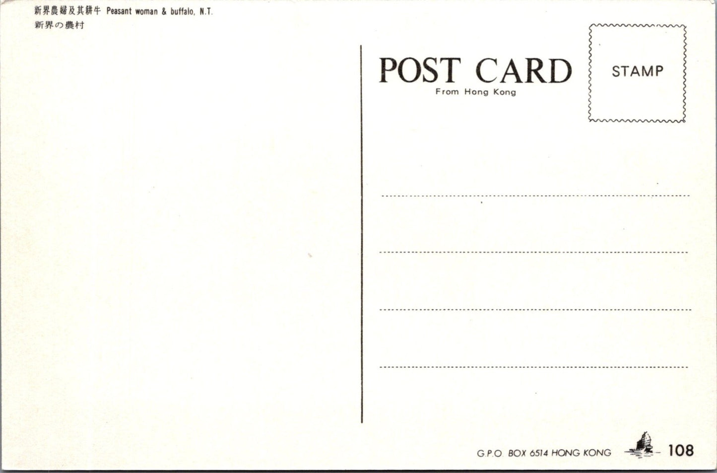 Hong Kong Postcard: New Territories Peasant Woman Buffalo Plowing 1970's XT3849