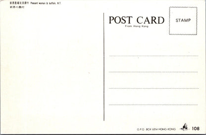 Hong Kong Postcard: New Territories Peasant Woman Buffalo Plowing 1970's XT3849