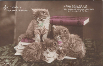 Greeting Postcard: Kind Thoughts For Your Birthday Fluffy Kittens Books  XT3620