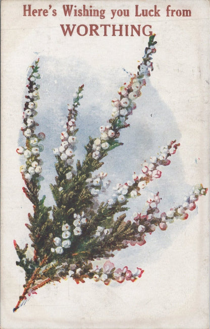 Sussex Postcard: Here’s Wishing You Luck from Worthing White Heather 1919 XT3451