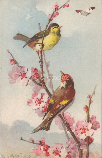 Bird Postcard: Goldfinch Blossom Painting By Artist Catharina Klein  XT3739