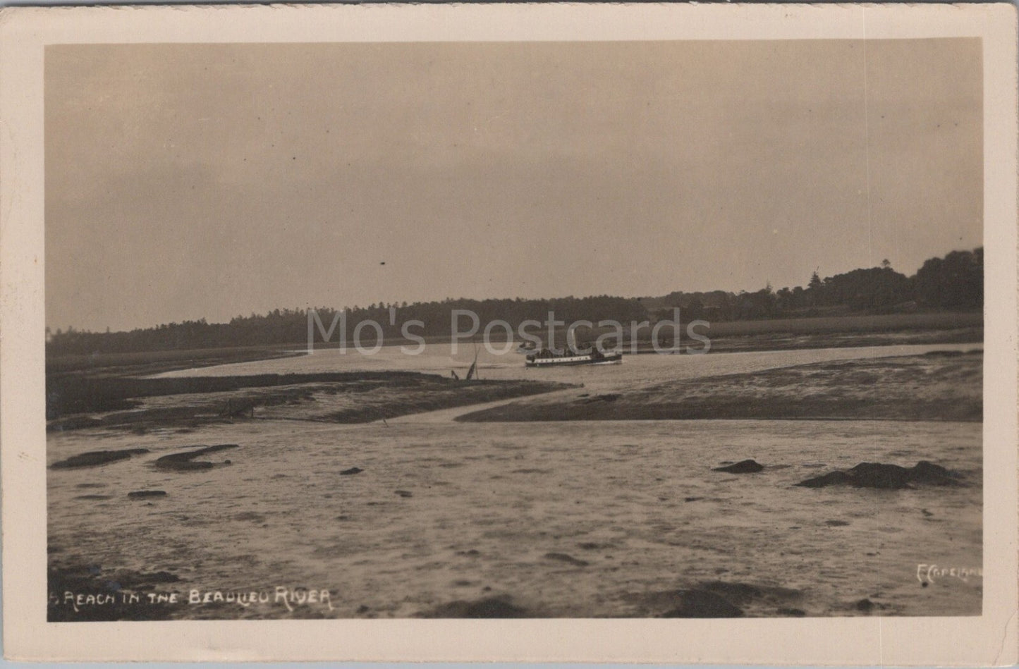 Hampshire Postcard: A Reach In The Beaulieu River, New Forest View RPPC XT3529