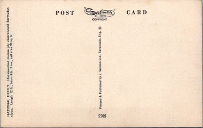 Sailing Postcard: National Firefly Centreboard Bermudan Sloop Sailing Dinghy XT5271