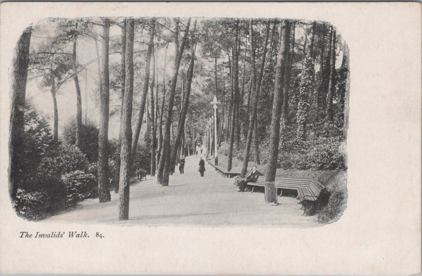 Dorset Postcard: Bournemouth Invalids Walk Pine Trees Garden Resort 1900s XT3466