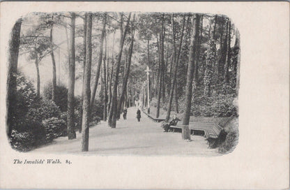 Dorset Postcard: Bournemouth Invalids Walk Pine Trees Garden Resort 1900s XT3466