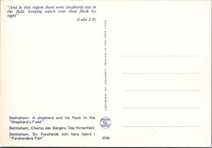 Holy Land Postcard: Bethlehem Shepherd's Field Flock Palphot View 1970's XT3832