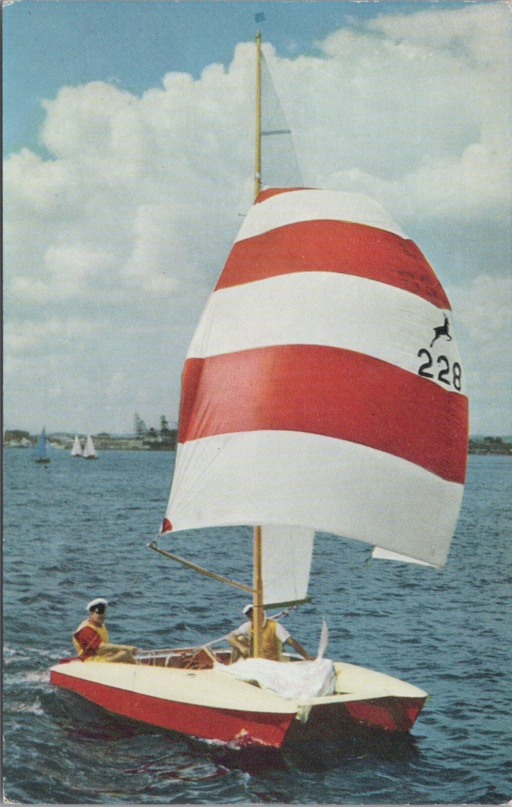 Sailing Postcard: Jumpahead Twin Hulled Bermudan Sloop Catamaran Sail 1960s XT5270