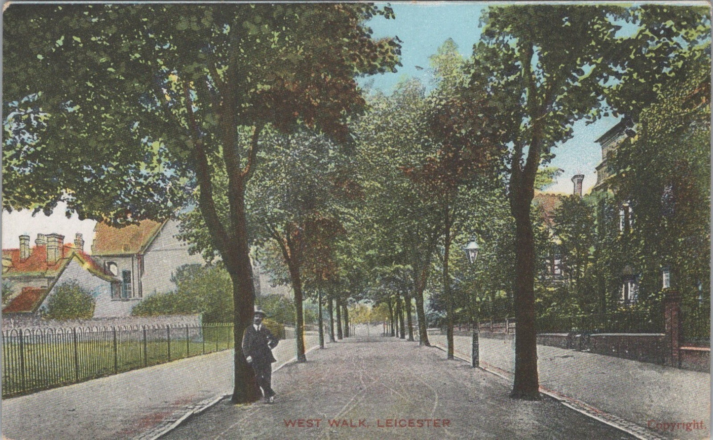 Leicestershire Postcard: Leicester West Walk Tree Avenue Promenade XT3480