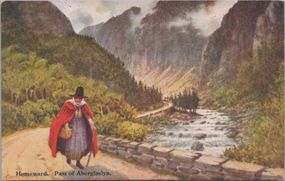 Gwynedd Postcard: Pass Of Aberglaslyn Homeward Welsh Costume 1920's XT4152
