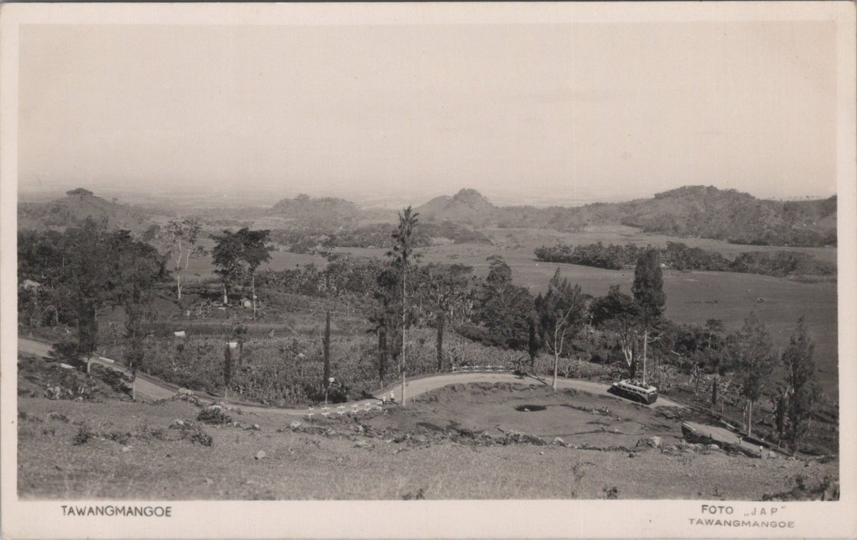 Java Postcard: Tawangmangoe Panoramic Mountain Pass Valley Road 1930s XT5467