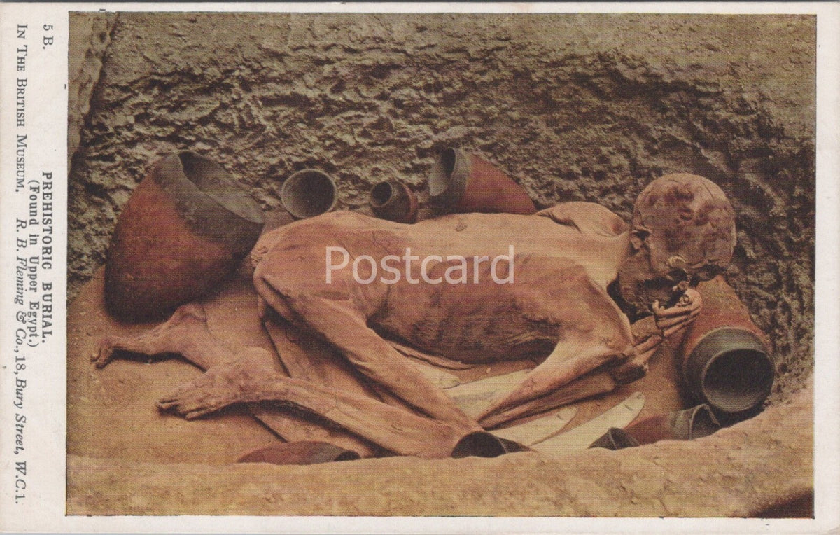 Egypt Postcard: Prehistoric Burial Mummy British Museum Gebelein Man XT5084