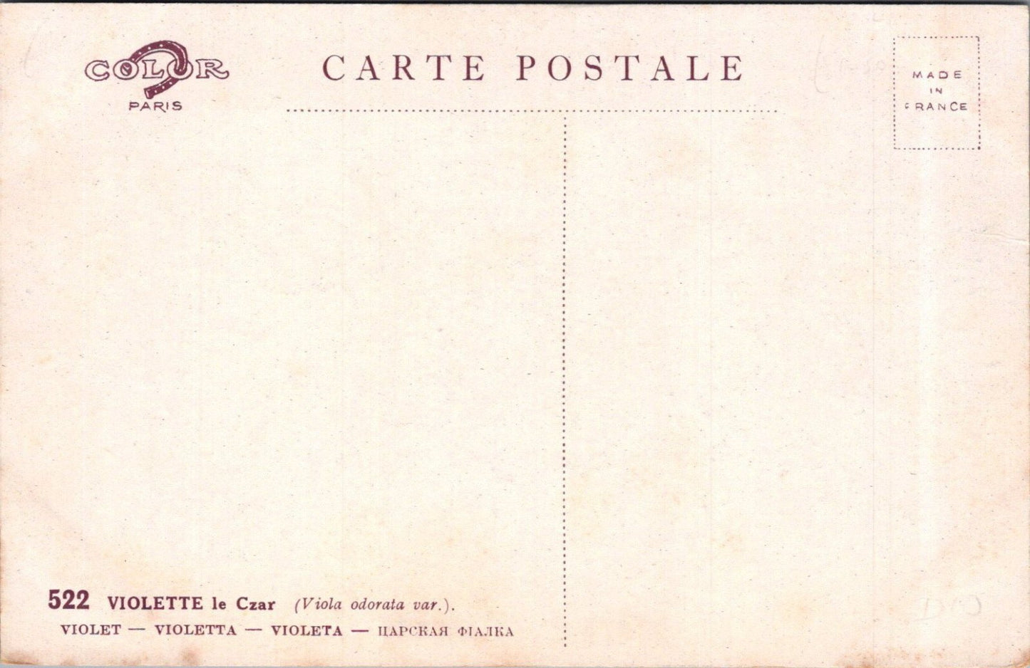 Flowers Postcard: Violette Le Czar Viola Odorata Bouquet Signed Barde XT3584