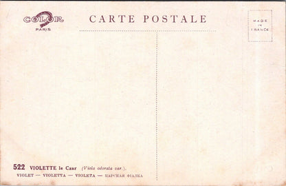 Flowers Postcard: Violette Le Czar Viola Odorata Bouquet Signed Barde XT3584