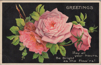 Greetings Postcard: Pink Roses Floral Spray Black Background 1910s XT4982