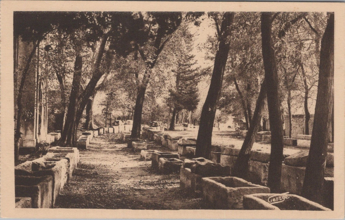France Postcard: Arles Les Alyscamps, Champs Elysees Romains Sarcophagi  XT5165