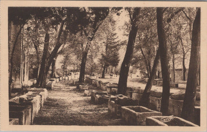 France Postcard: Arles Les Alyscamps, Champs Elysees Romains Sarcophagi  XT5165