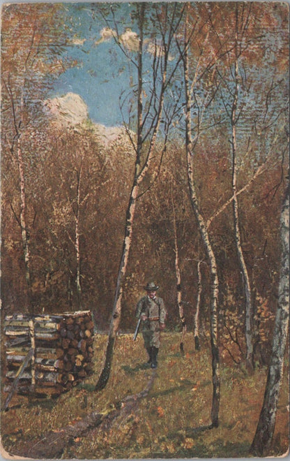 Hunting Postcard: Man With Shotgun Walking Through Silver Birch Trees 1905 XT5024