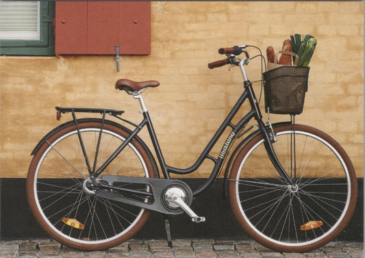 Cycling Postcard: Mustang Danish Town Bike Basket Grocery Shopping 2017 XT5344