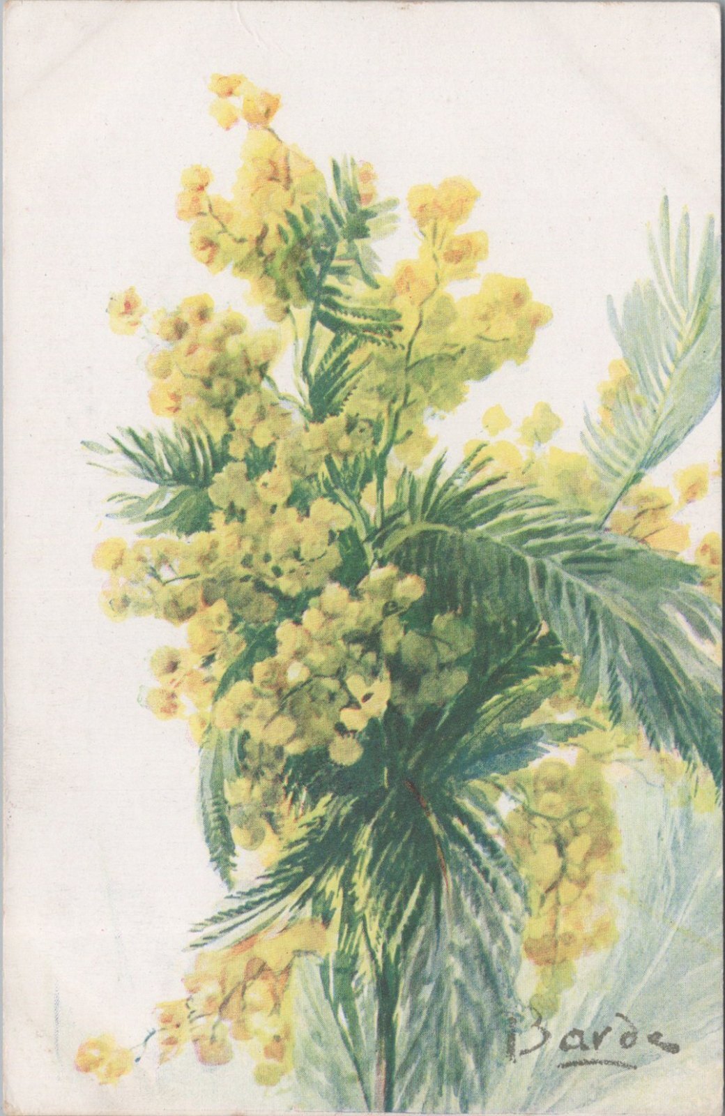 Flowers Postcard: Yellow Mimosa Bouquet Acacia Signed By Artist Barde 1910s XT3578