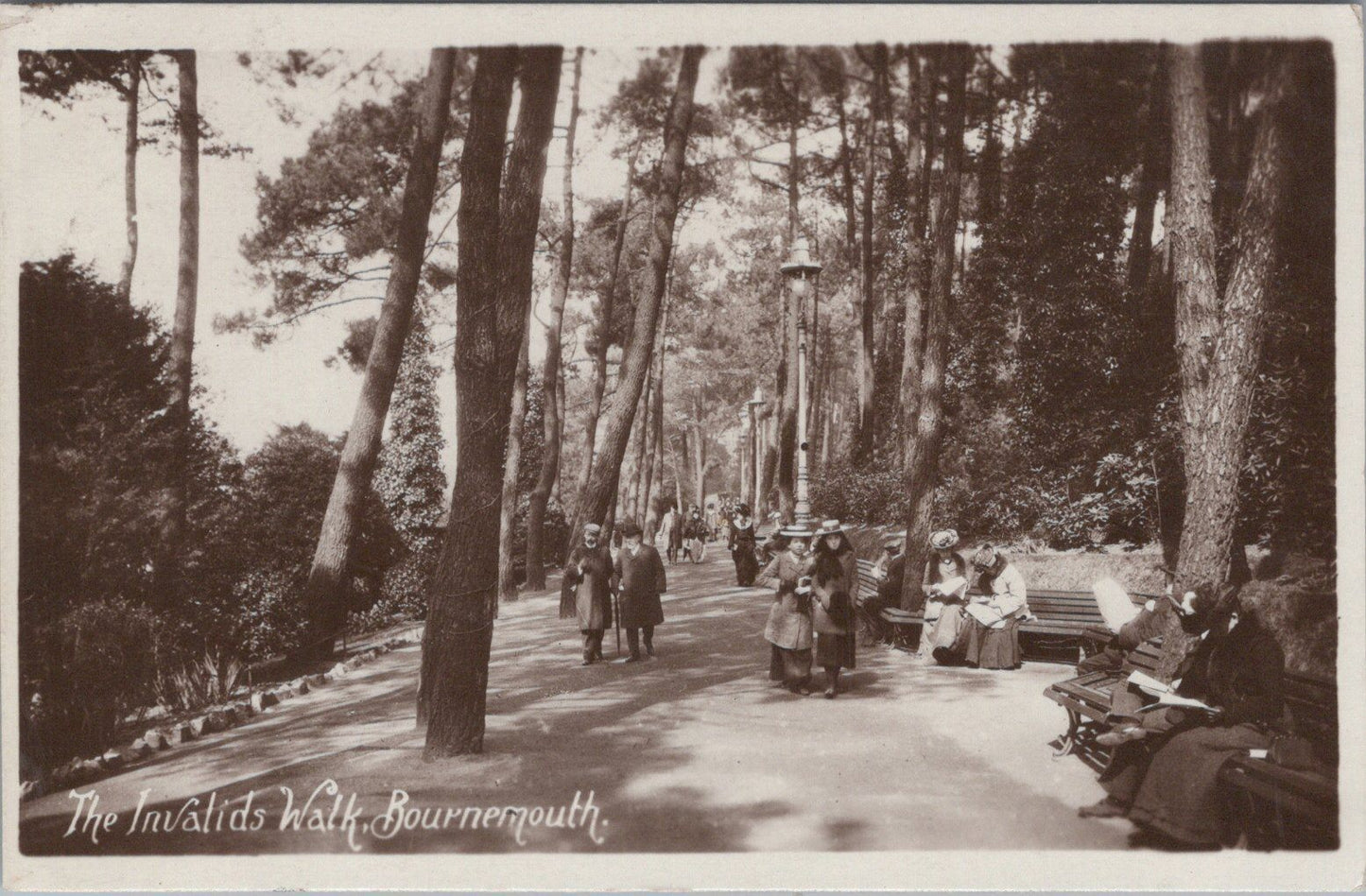 Dorset Postcard: Bournemouth Invalids Walk Pine Trees Garden Resort 1909 XT3476