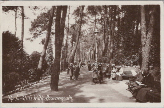 Dorset Postcard: Bournemouth Invalids Walk Pine Trees Garden Resort 1909 XT3476
