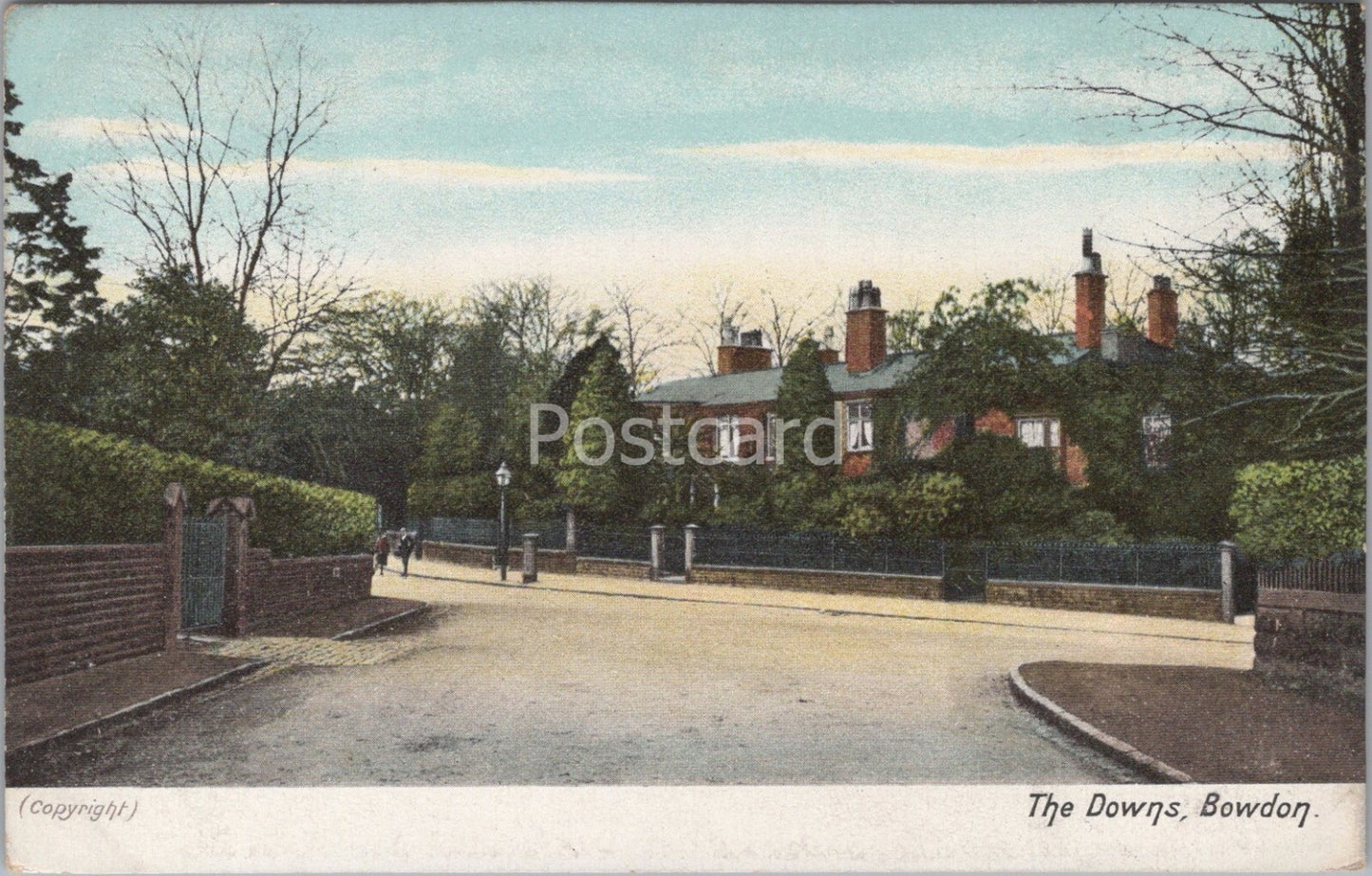 Cheshire Postcard: The Downs, Bowdon, Street Scene Houses c1910's XT4437