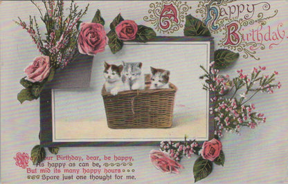 Greeting Postcard: A Happy Birthday Kittens Basket Roses Verse 1913 XT3619