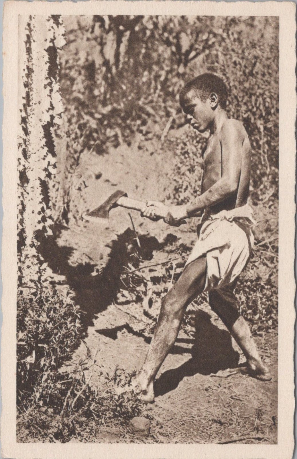Eritrea Postcard: Asmara Il Tagliabosco Woodcutter A Baratti 1930's XT5486