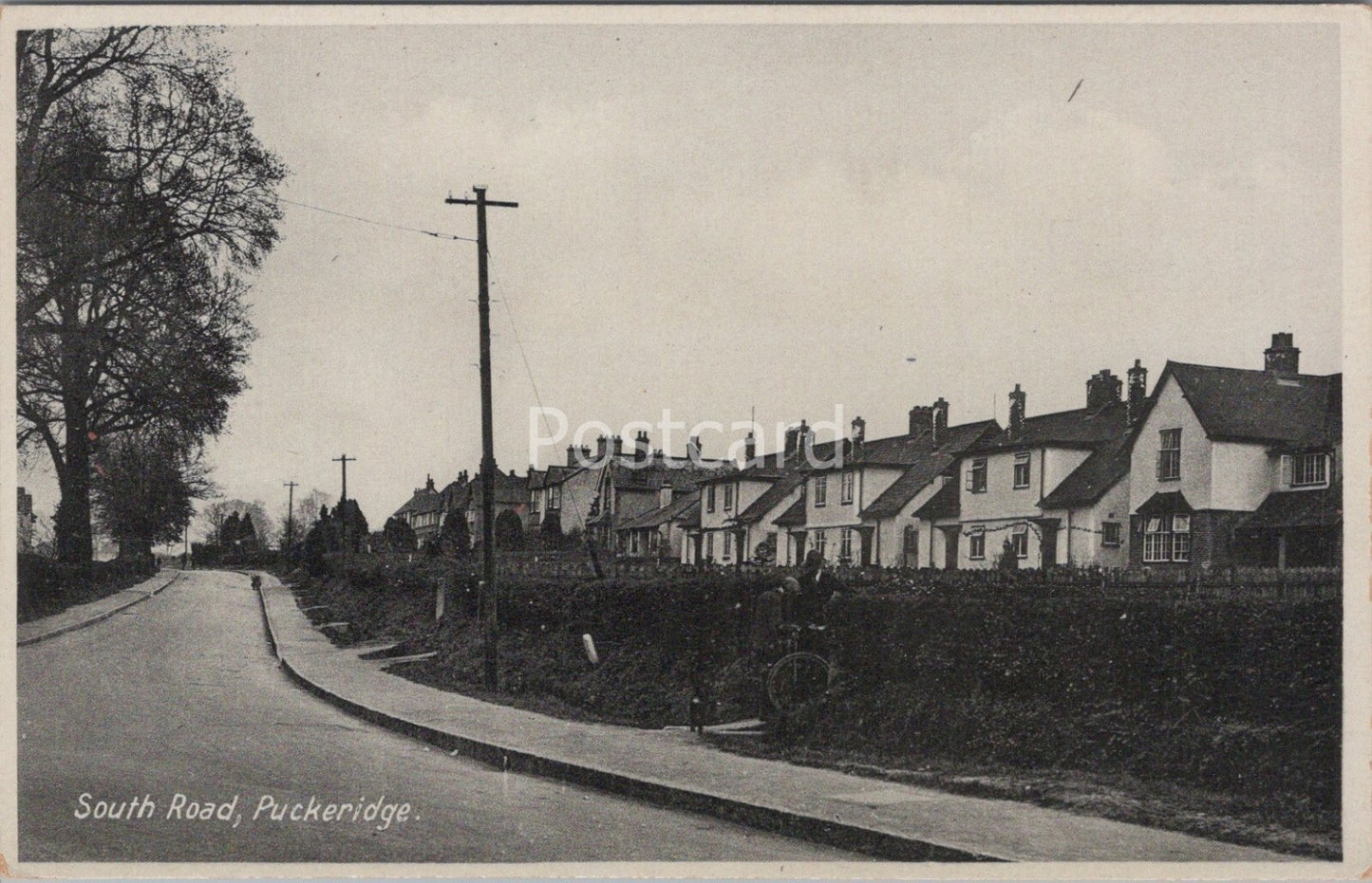 Hertfordshire Postcard: Puckeridge South Road Houses Street View 1930s XT4291