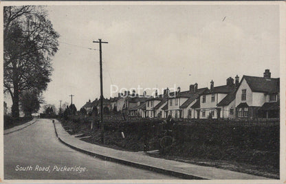 Hertfordshire Postcard: Puckeridge South Road Houses Street View 1930s XT4291