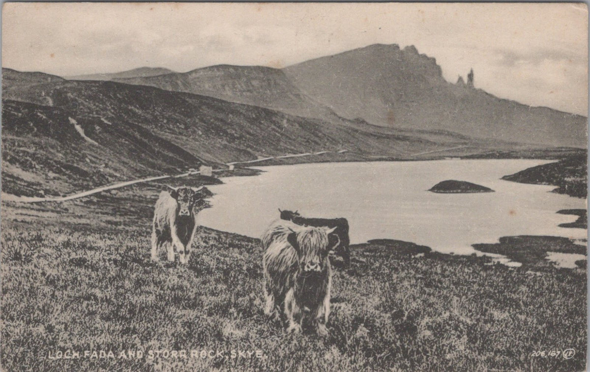 Inverness-shire Postcard: Loch Fada Storr Rock Isle Of Skye Cattle 1930's XT5521