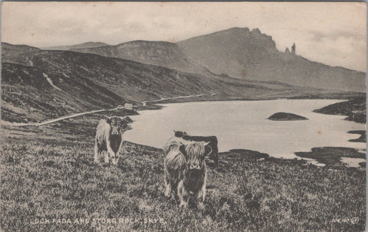 Inverness-shire Postcard: Loch Fada Storr Rock Isle Of Skye Cattle 1930's XT5521