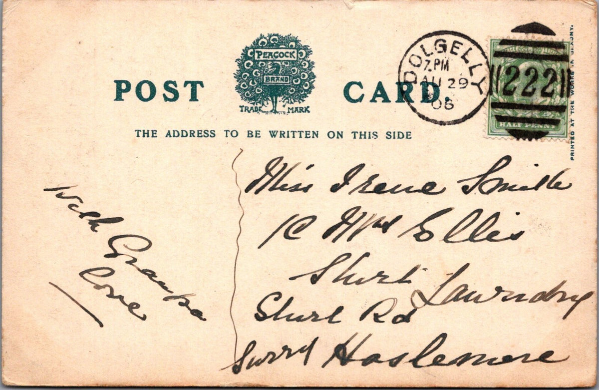 Wales Postcard:Dolgelly And Cader Idris Mountain Town Panoramic View 1906 XT5383