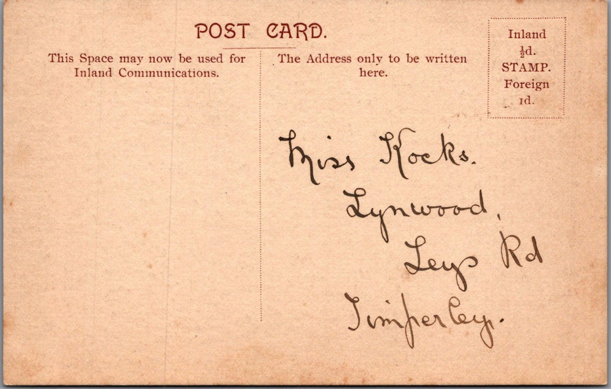 Actress Postcard: Miss Eva Moore Profile Sequin Dress Portrait 1900s XT5422