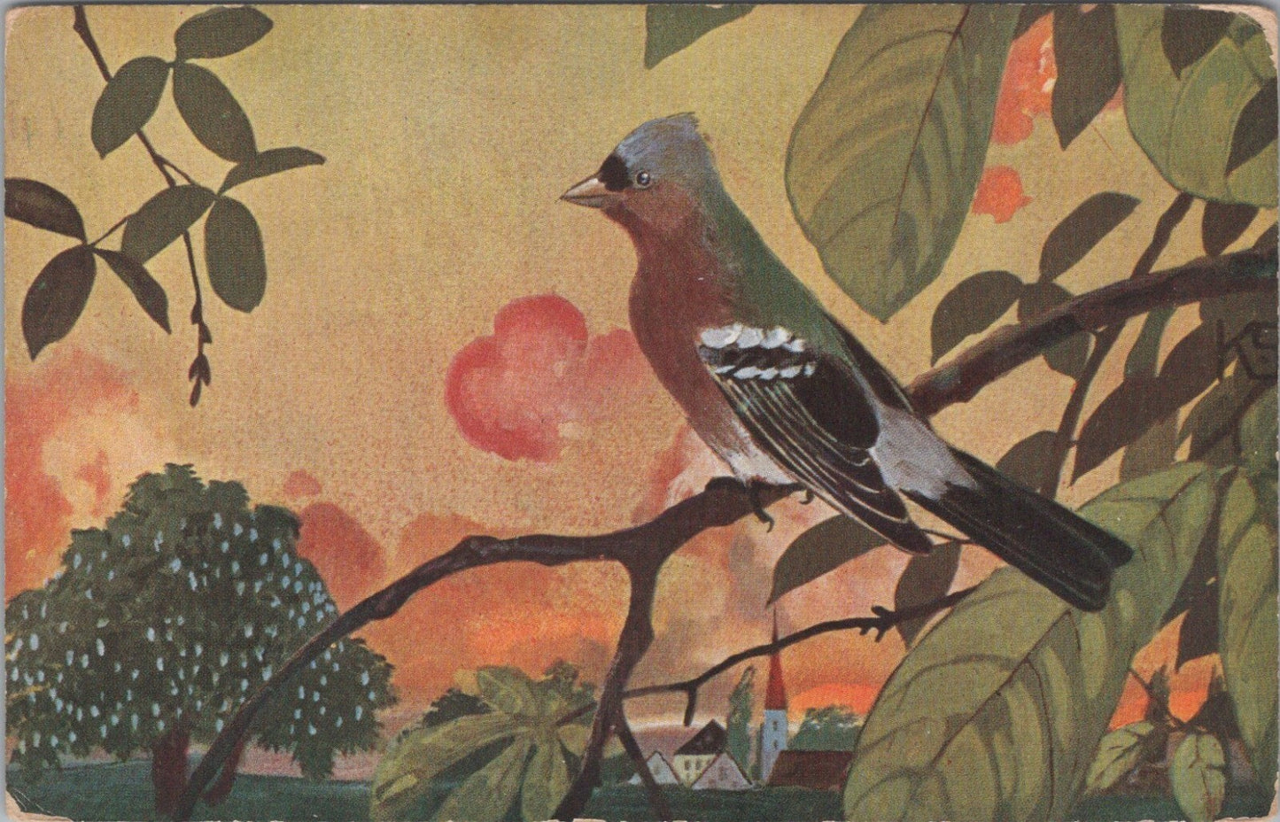 Nature Postcard: Golden Age Era Chaffinch Bird Branch Village Sunset XT4123