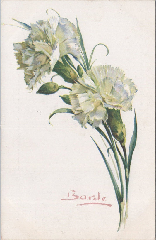 Flowers Postcard: White Carnation Bouquet Signed By Artist Barde 1910s XT3577