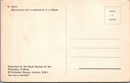 Bird Postcard: Robin Painting By H J Slijper RSPB Art 1950s XT3738