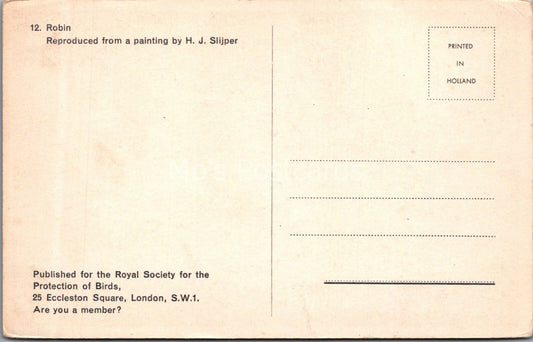 Bird Postcard: Robin Painting By H J Slijper RSPB Art 1950s XT3738