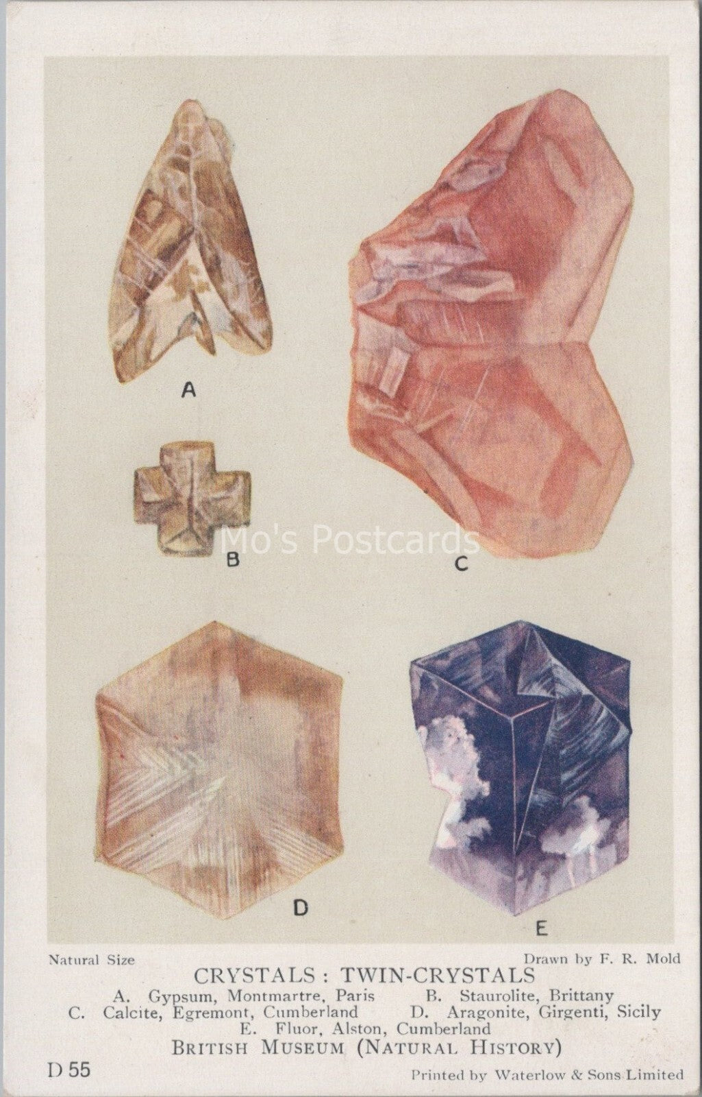 Crystals Postcard: Twin Crystals Gypsum Staurolite Calcite Aragonite D 55 XT4056
