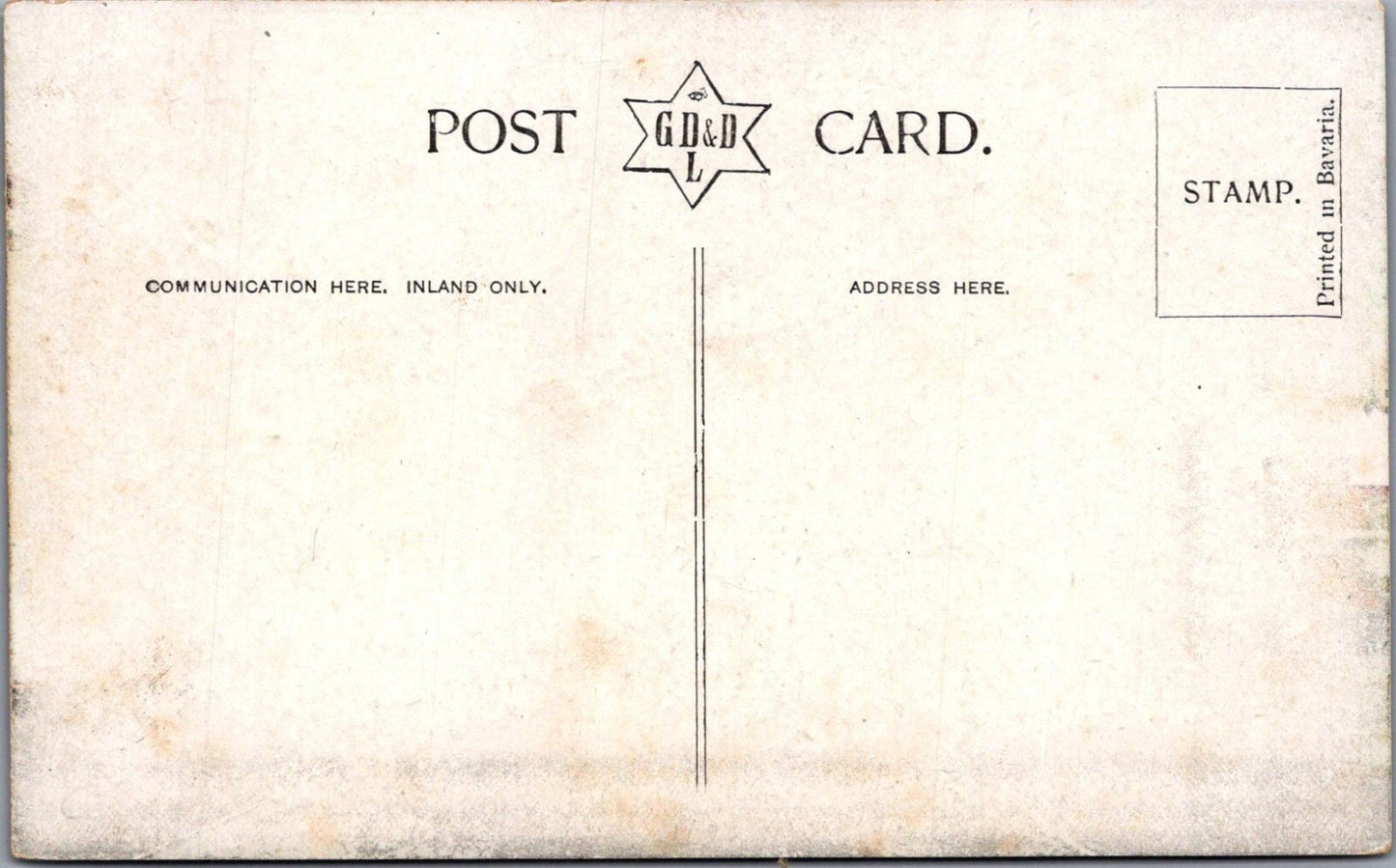Leicestershire Postcard: Leicester West Walk Tree Avenue Promenade XT3480