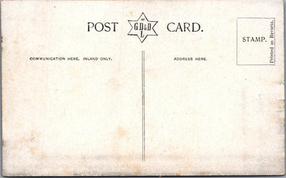 Leicestershire Postcard: Leicester West Walk Tree Avenue Promenade XT3480