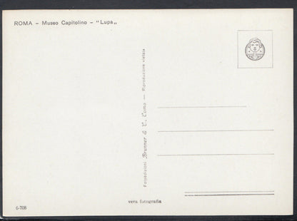 Italy Postcard - Roma - Museo Capitolino - "Lupa"  RR4866
