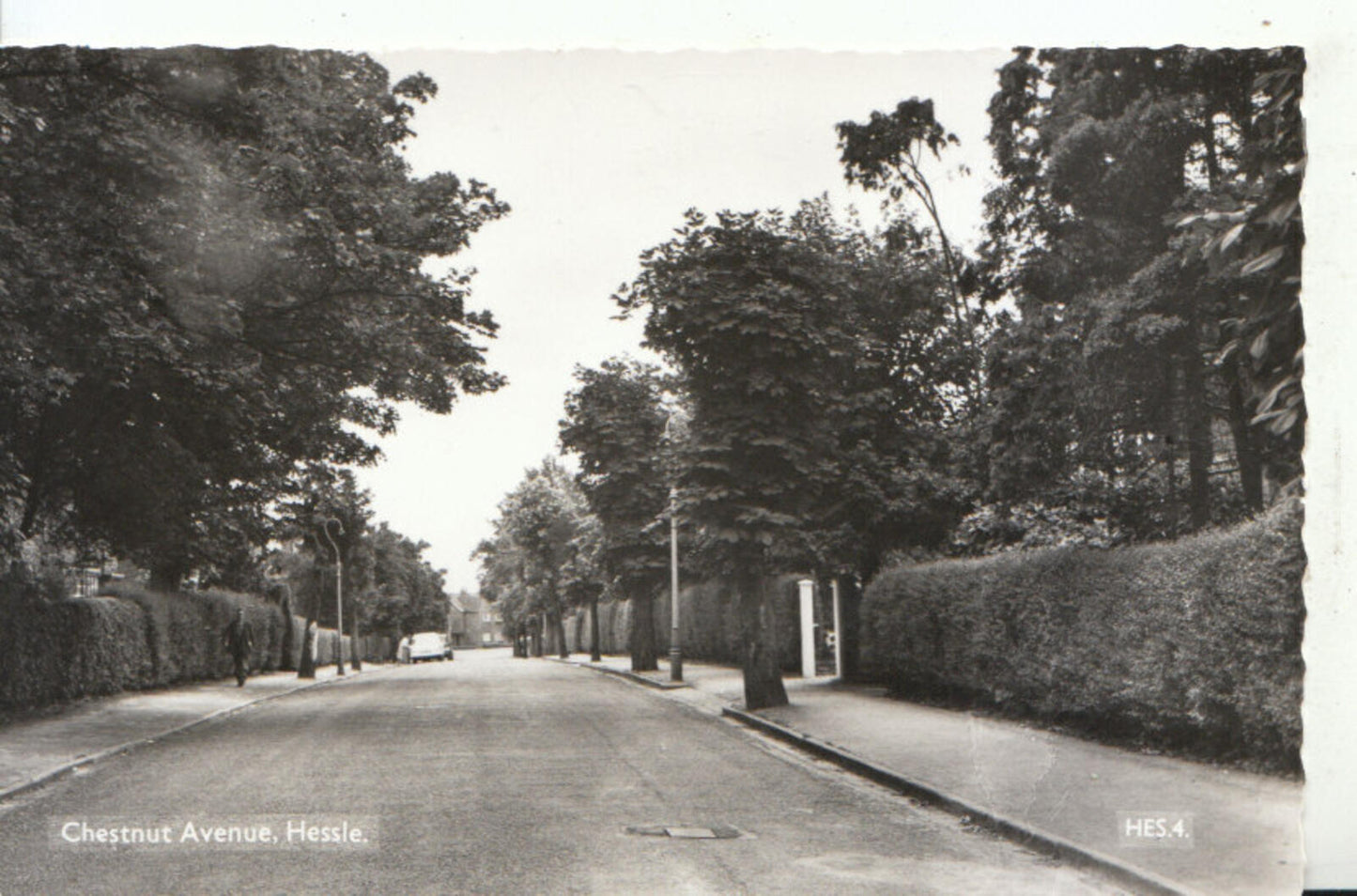 Yorkshire Postcard: Chestnut Avenue Hessle RPPC Street Scene  13404A