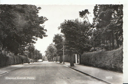 Yorkshire Postcard: Chestnut Avenue Hessle RPPC Street Scene  13404A