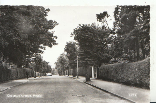 Yorkshire Postcard: Chestnut Avenue Hessle RPPC Street Scene  13404A