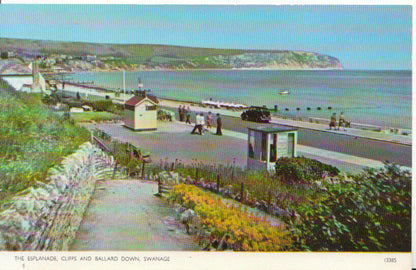 Dorset Postcard - Esplanade Cliffs & Ballard Down, Swanage  3359A