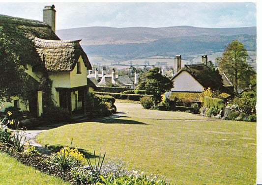 Somerset Postcard - Selworthy Green in Springtime  SM120